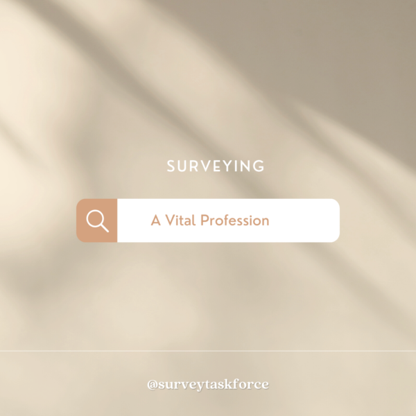 Surveyor A Vital Profession